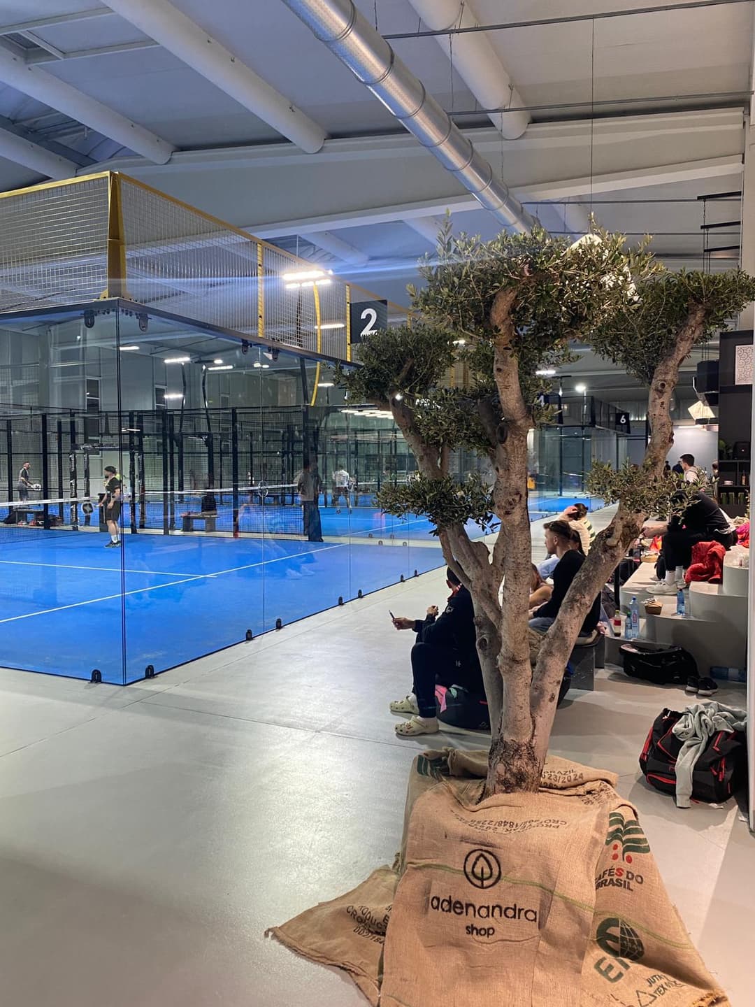Padel Zone Oradea — club de padel în Oradea, foto 4 din 10